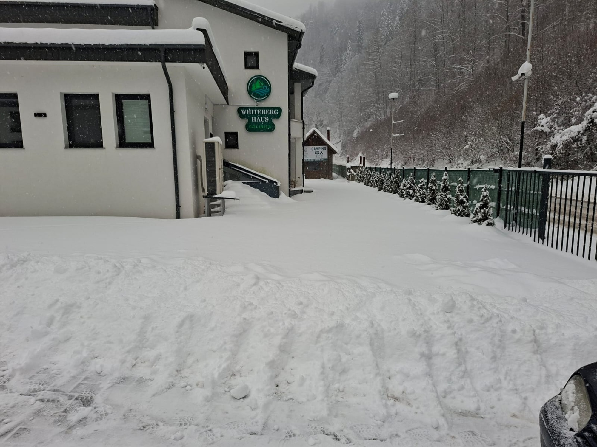 PHOTO-2026-01-04-17-31-46 (1)