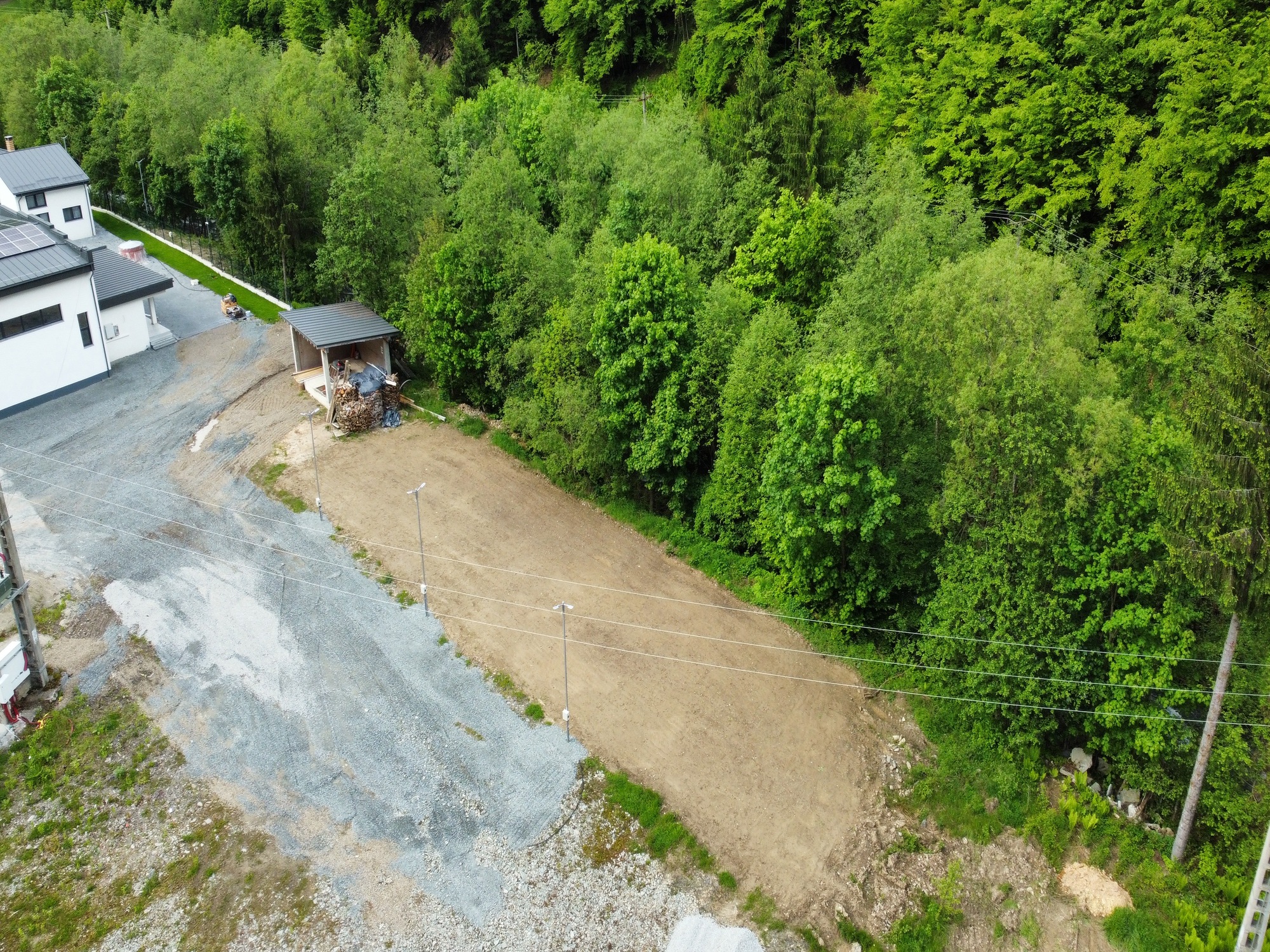 Whiteberghaus Colibița